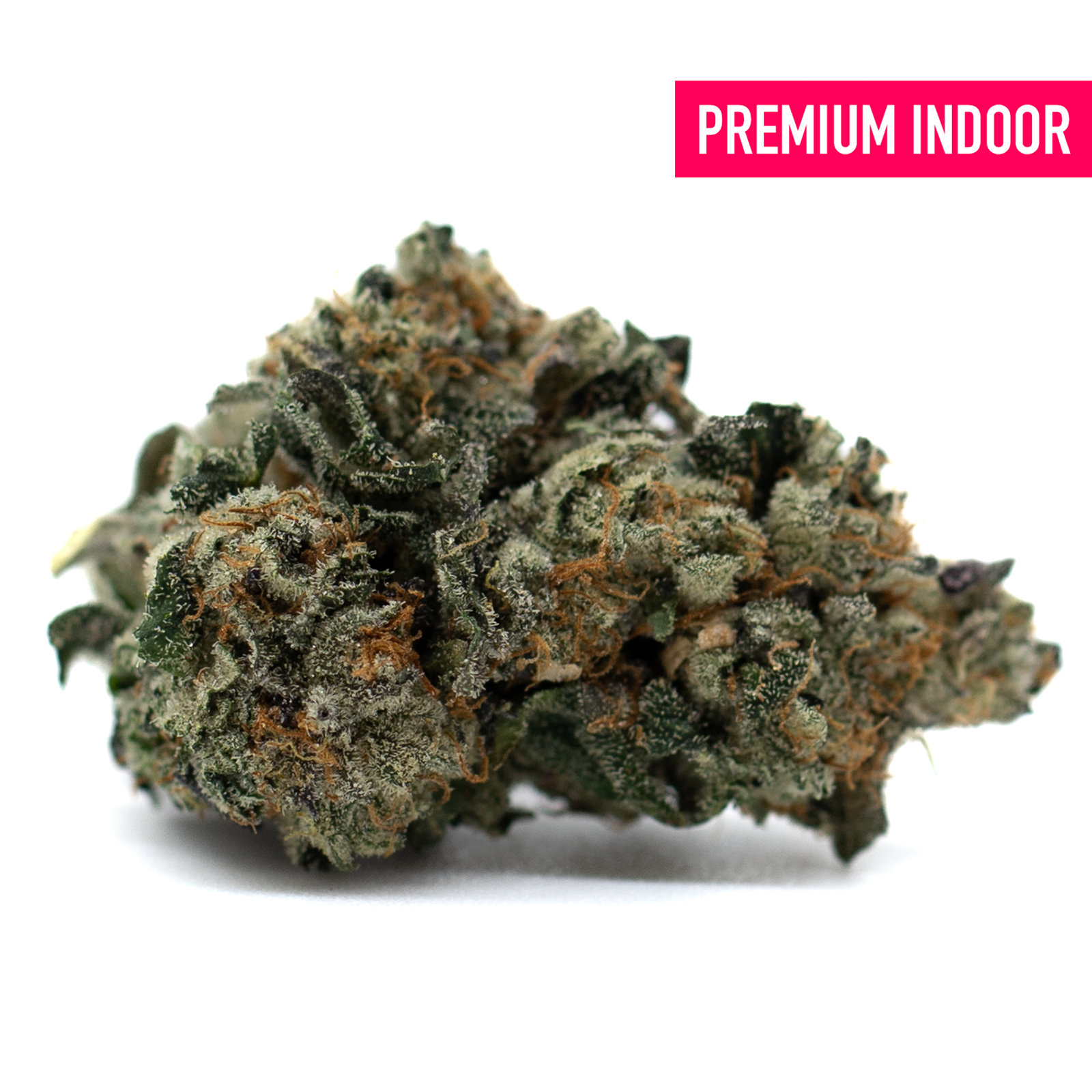 Dense trichome-covered Chunky Monkey Indoor THCa Flower with orange hairs and dark green leaves