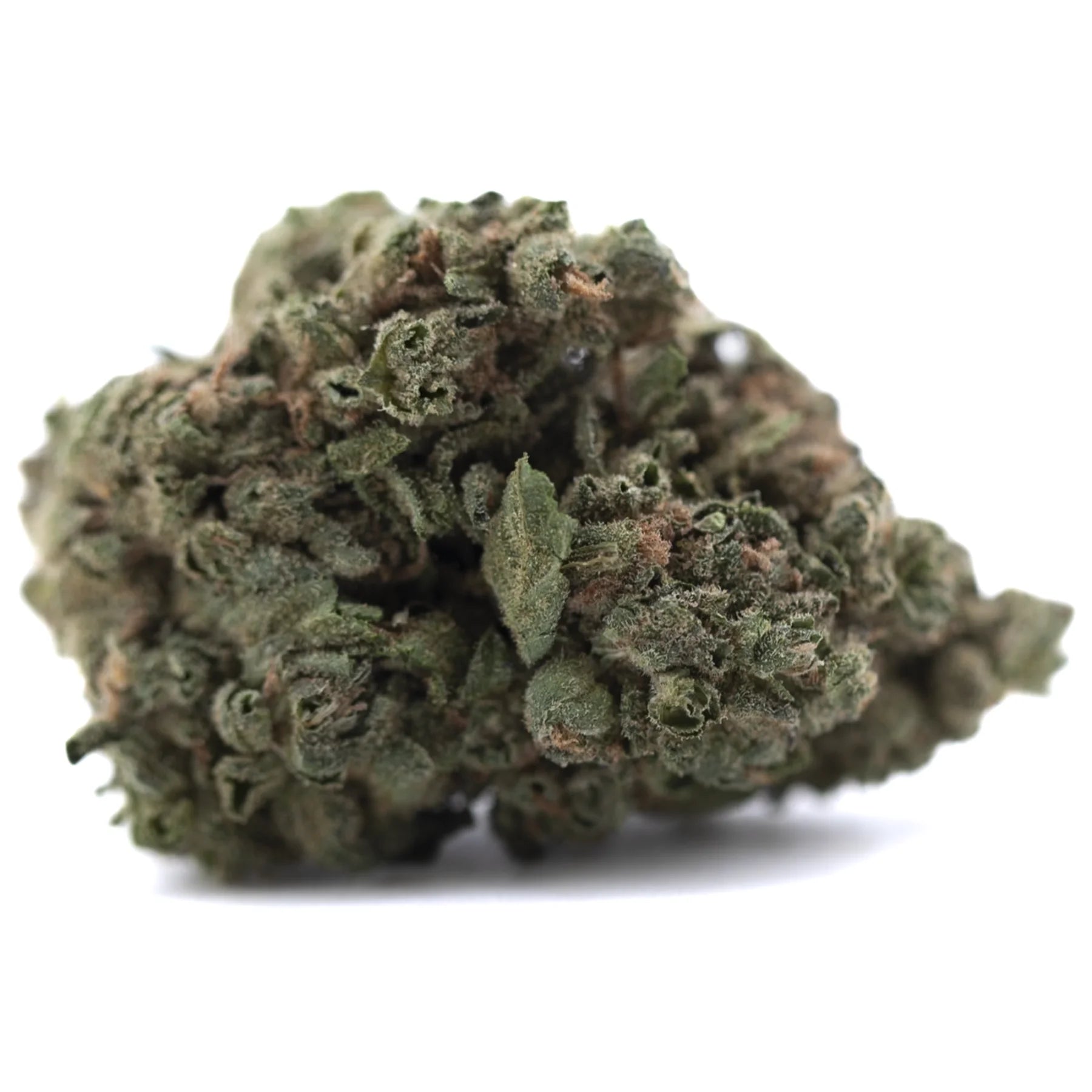 A dense green cola full-term thca flower bud with fine trichomes brown pistils and rich terpene profile