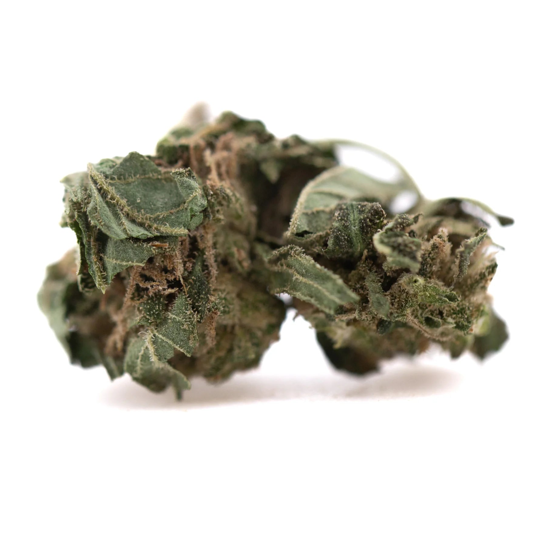 A dense green cola full-term thca smalls flower bud with fine trichomes resembling creamy strawberry cheesecake strain