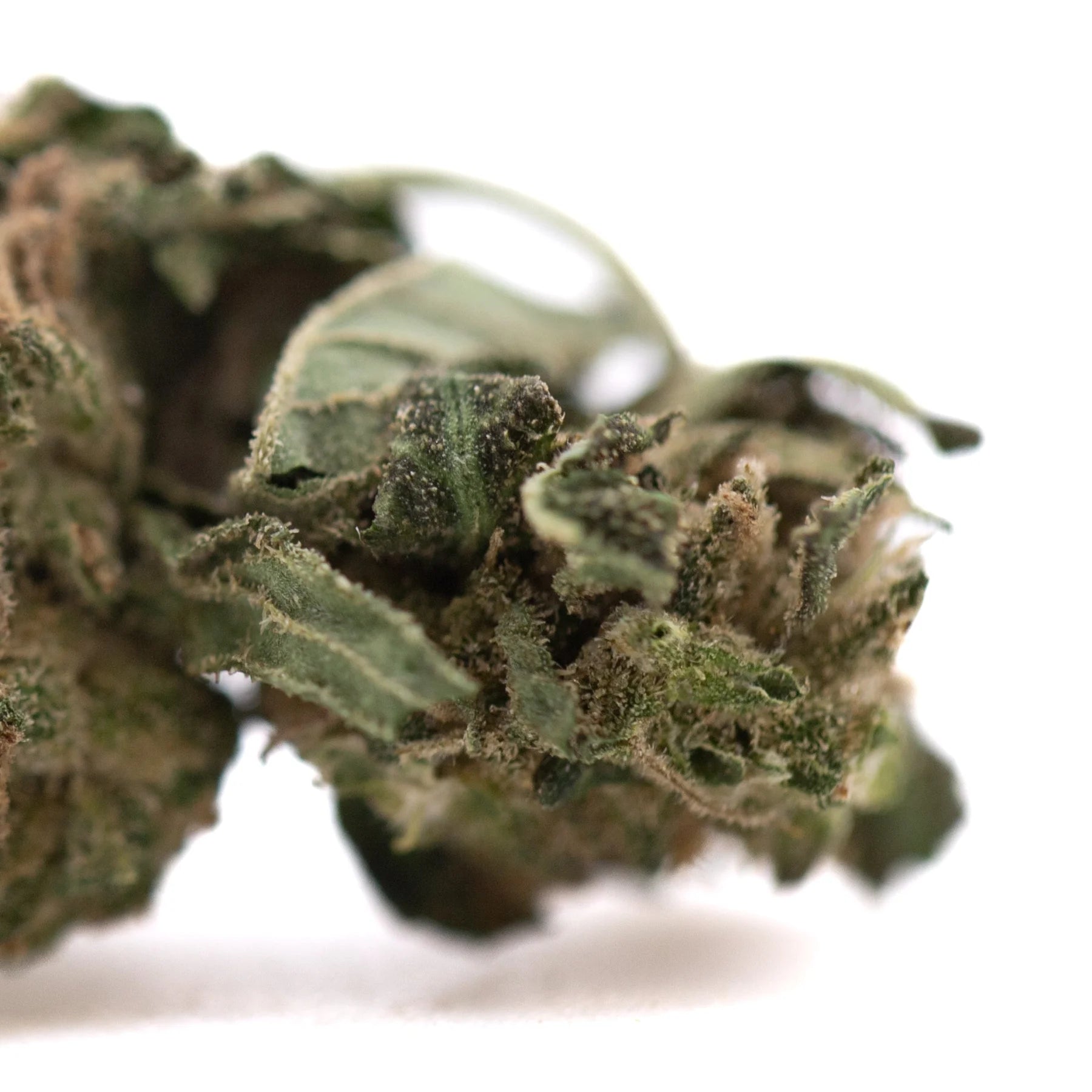 A dense green cola full-term thca smalls flower with fine trichomes textured surface creamy strawberry cheesecake strain