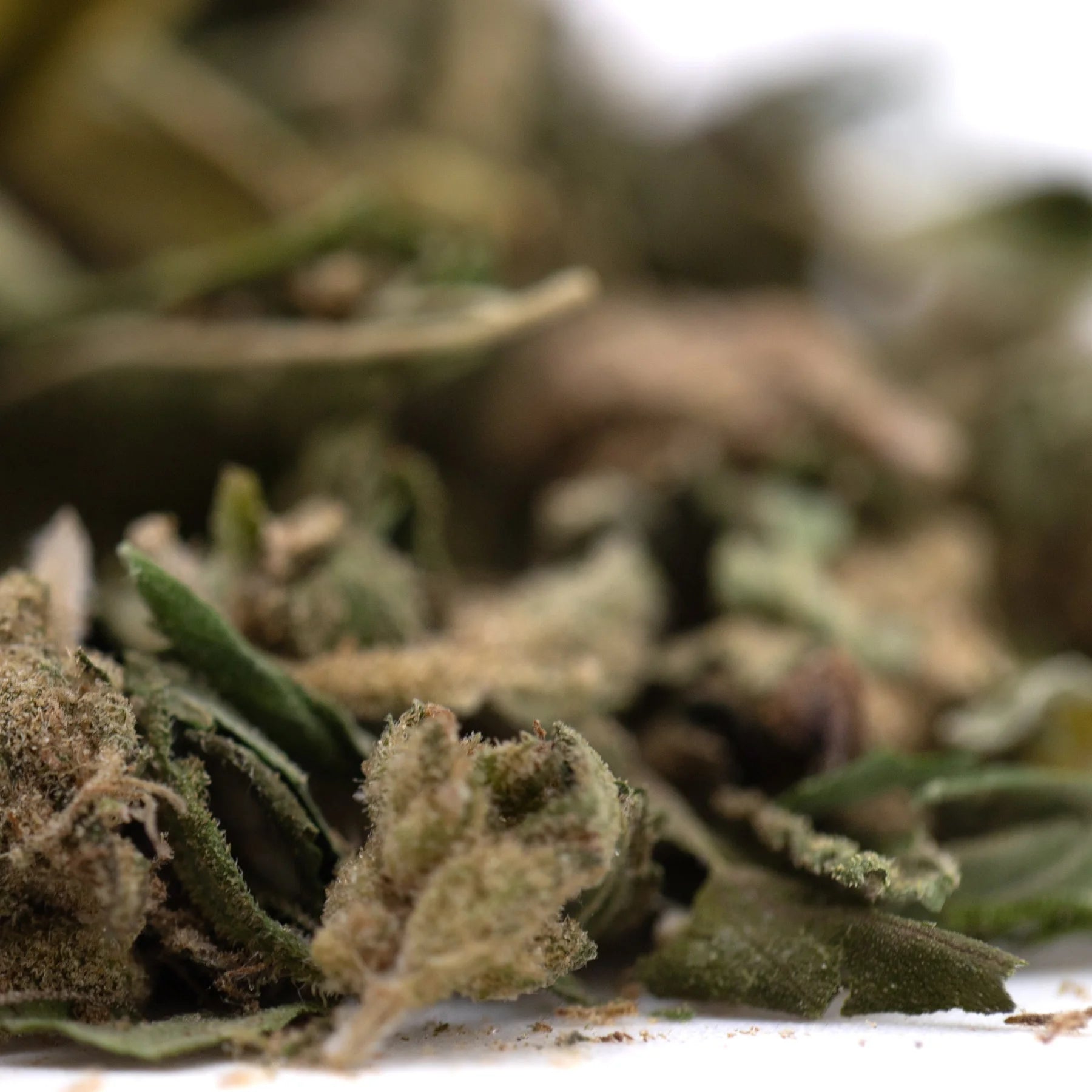 Cola full-term thca trim with dried cannabis buds coated in light brown trichomes and creamy strawberry cheesecake notes