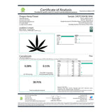 Cookies And Cream THCa Hemp Flower Greenhouse - Plants