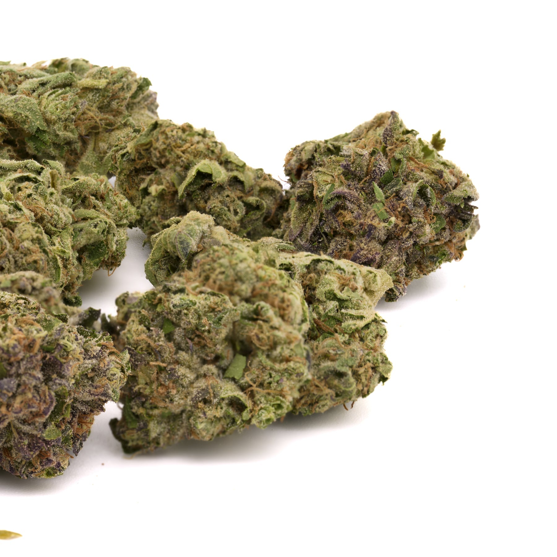 Cookies And Cream THCa Hemp Flower Greenhouse - Plants