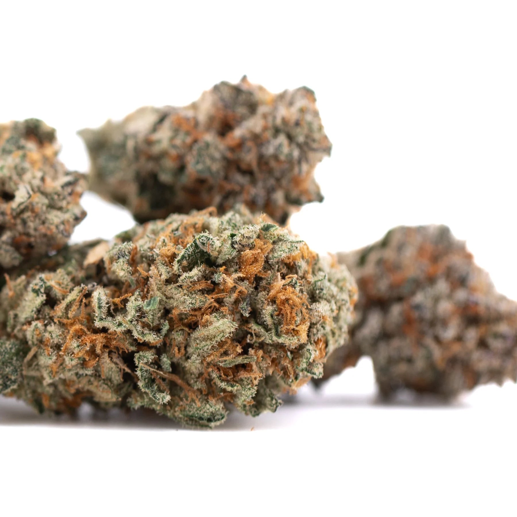Mature crater lake og indoor thca hemp flower buds with dense frosty trichomes and oregon huckleberry hues