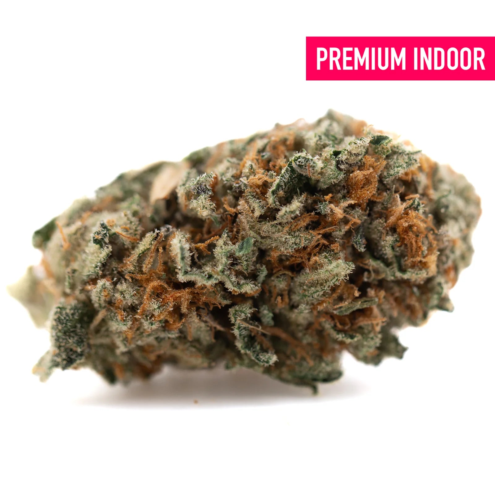 A dense resinous crater lake og indoor thca flower bud with green orange hues and white trichomes like oregon huckleberry