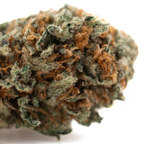 A dense resinous crater lake og indoor thca flower bud with green orange hues and white trichomes hemp flower oregon huckleberry