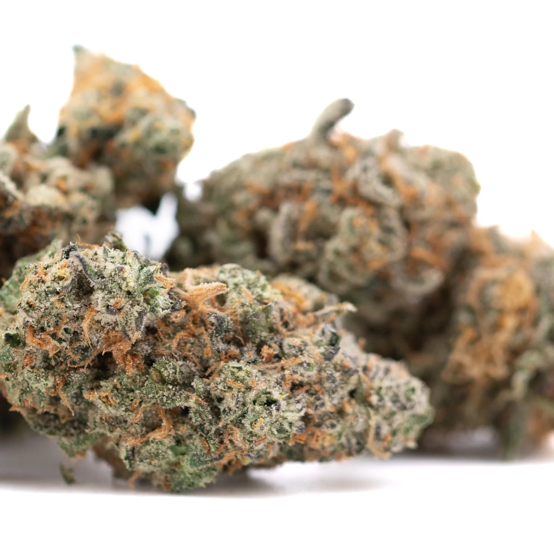 Crater Lake OG indoor THCa flower with dense frosty green and orange lake og indoor hemp flower hues and oregon huckleberry notes