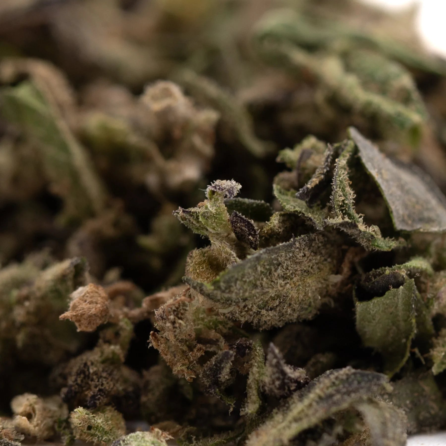 A close-up of cream caramel full-term thca trim hemp flower with green brown and purple hues covered in trichomes