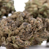 Premium Cream Caramel THCa hemp flower bud with dense trichomes