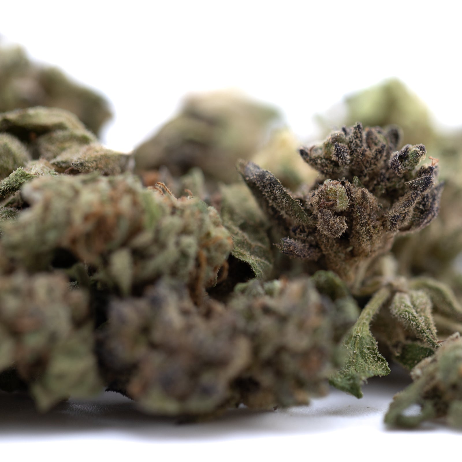 Cream Caramel THCa Flower Smalls: Marijuana Bud with Green Leaves