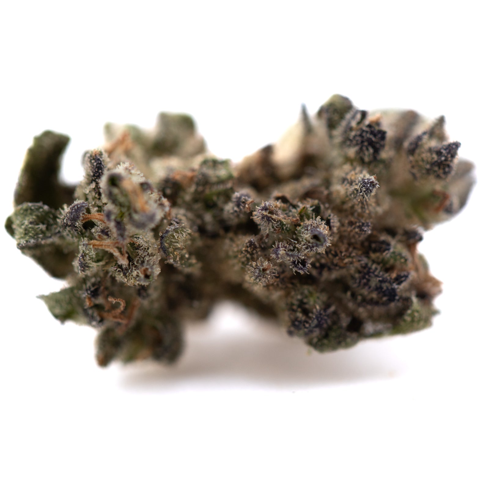 Premium Cream Caramel THCa Flower Smalls with dense trichomes