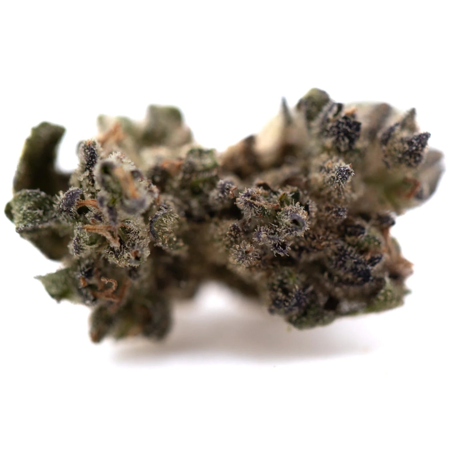 Premium Cream Caramel THCa Flower Smalls with dense trichomes