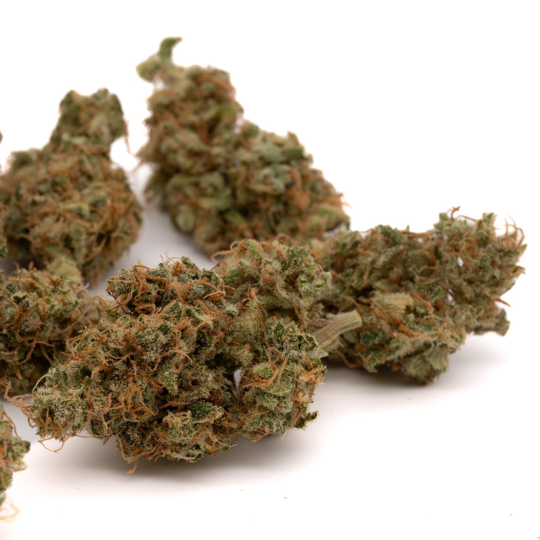 Cream Cookies THCa Hemp Flower - Plants