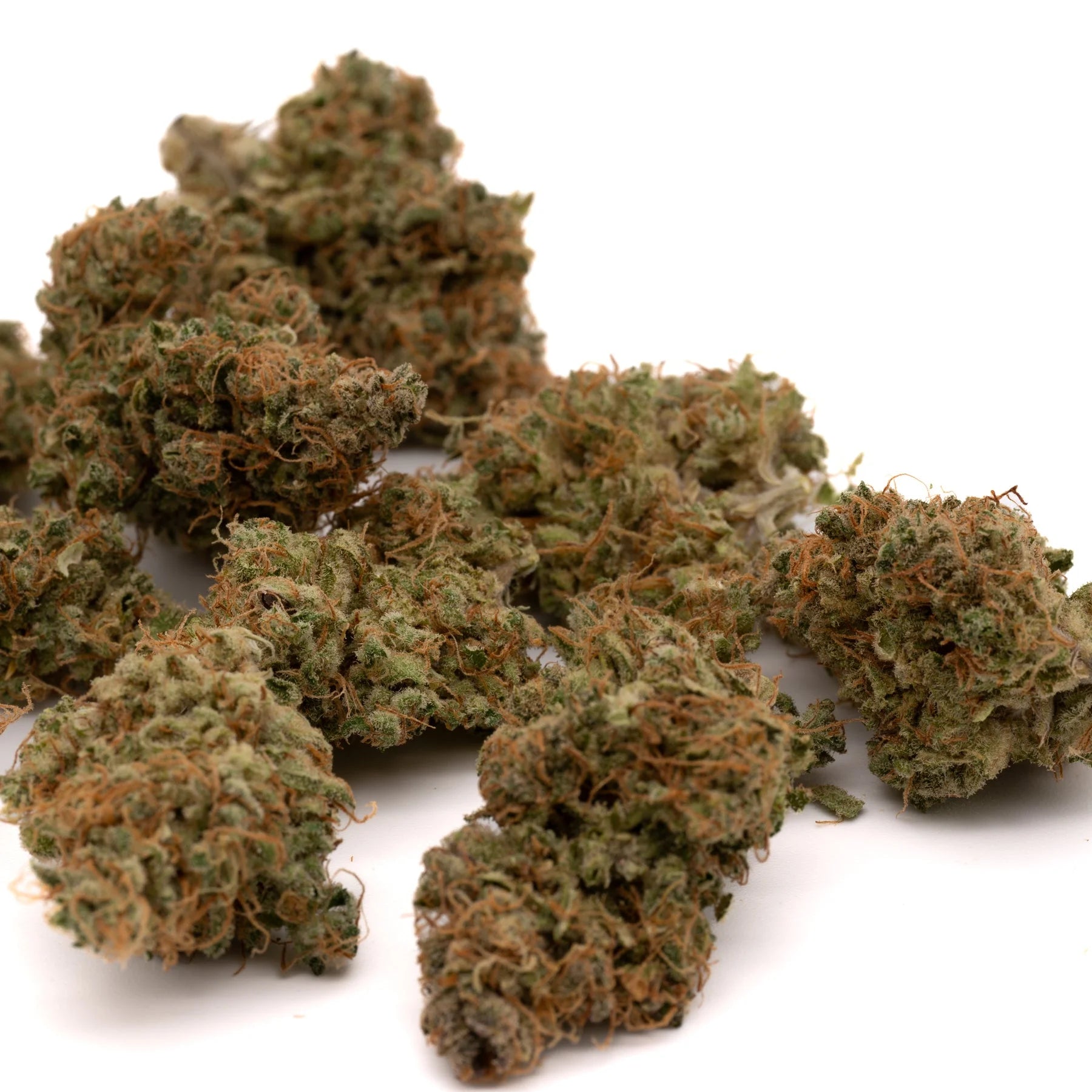 Cream Cookies THCa Hemp Flower - Plants