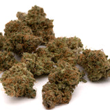 Cream Cookies THCa Hemp Flower - Plants