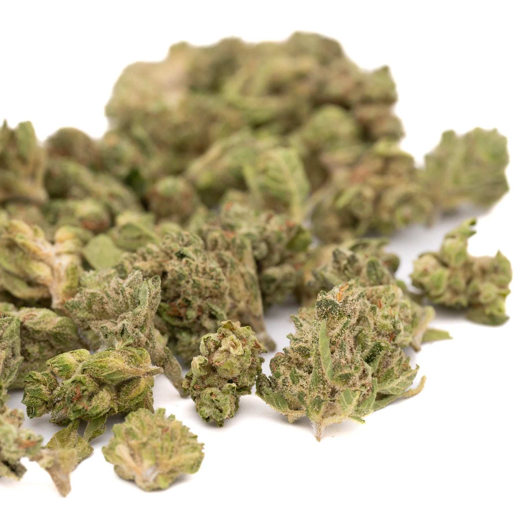 Cream Cookies THCa Hemp Flower Smalls - Plants