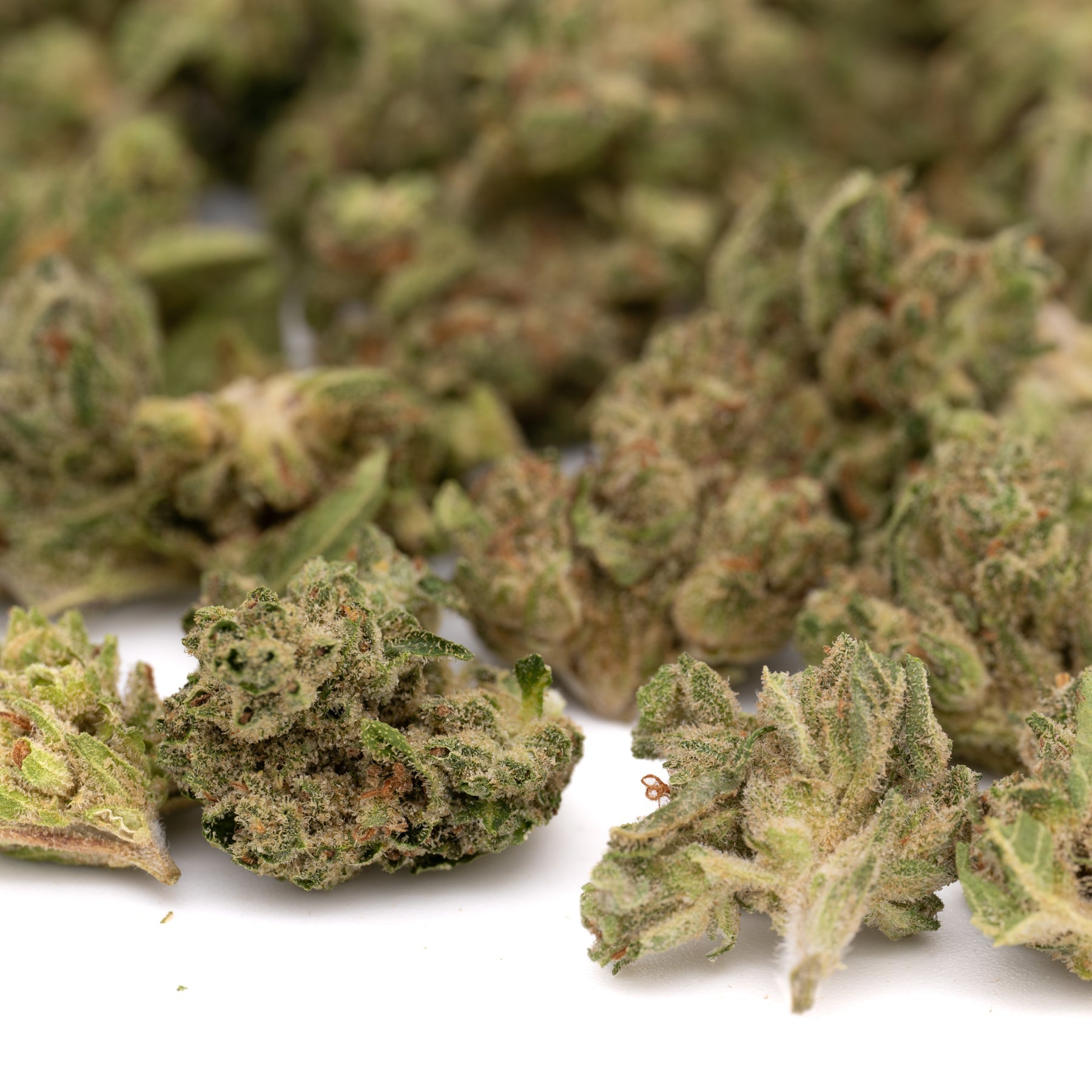 Cream Cookies THCa Hemp Flower Smalls - Plants