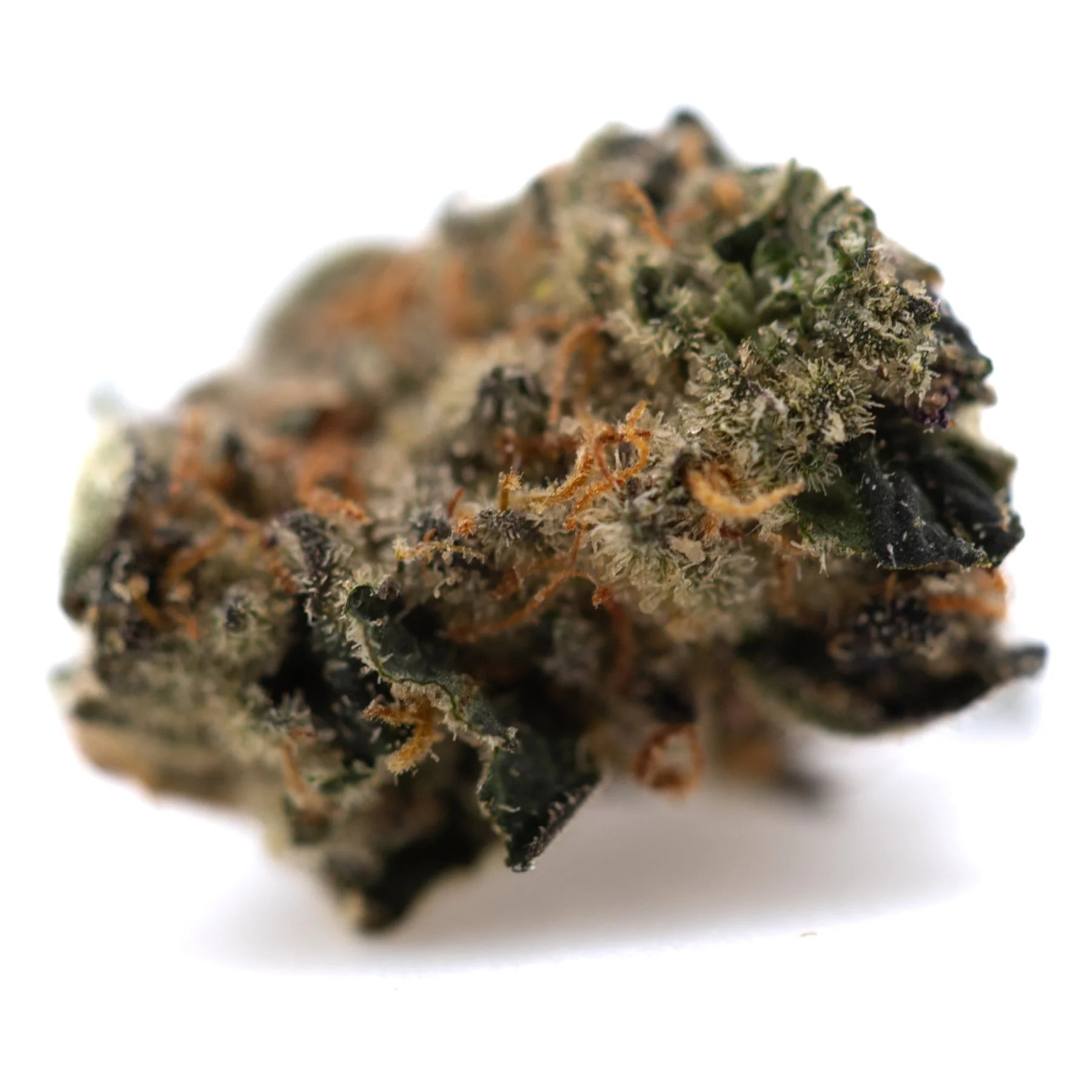 A dense resinous critical berries cbd smalls flower with green and orange hues covered in white trichomes