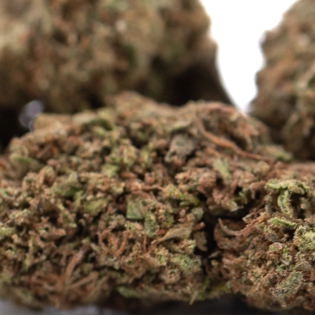 A dense critical berries hemp flower bud with green and brown hues similar to bubba kush in full-term form