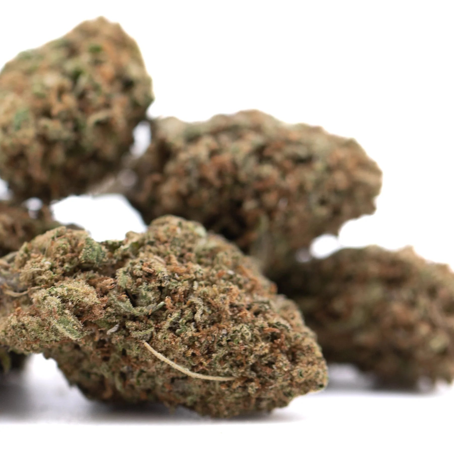 Mature critical berries hemp flower with dense green and brown textured buds resembling bubba kush strain