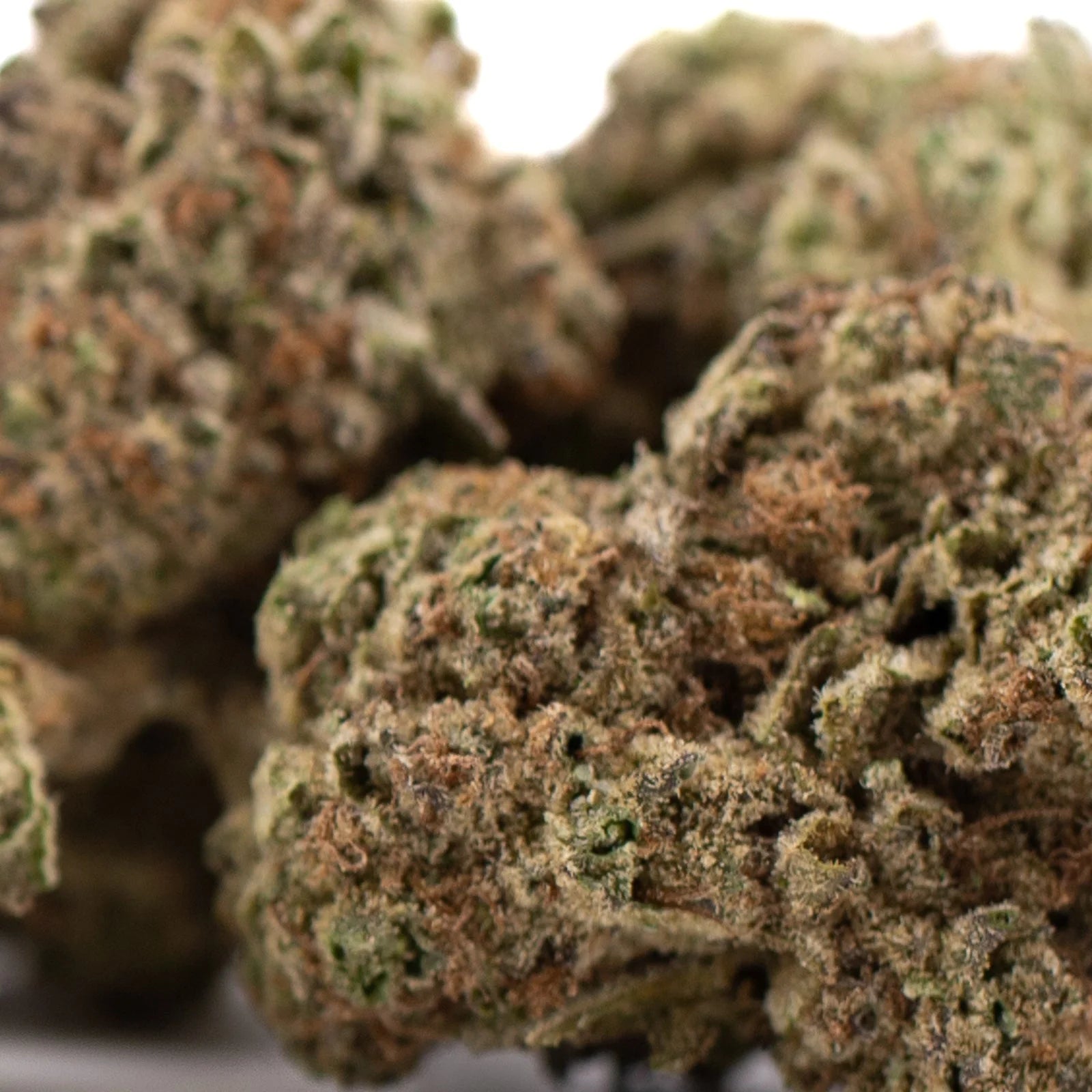 Daily Grape THCa hemp flower bud with green hues and resin glands