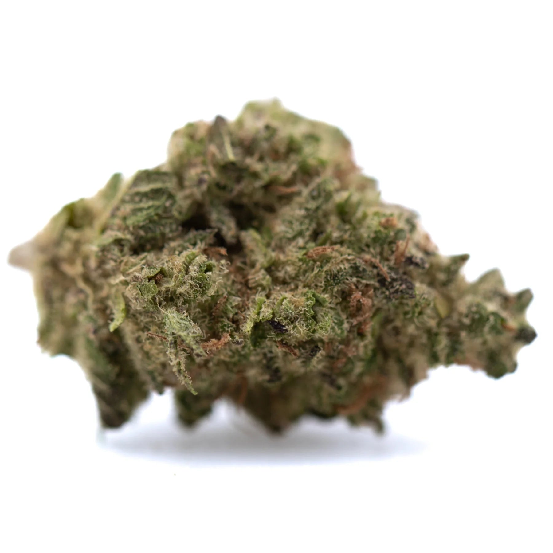 Dense textured daily grape greenhouse smalls hemp flower with thca content in green and brown hues and fine trichomes