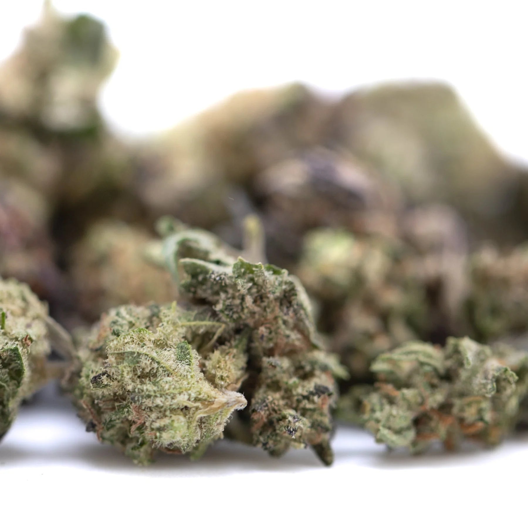 Green and purple greenhouse smalls hemp flower with frosty thca content resembling granddaddy purple buds