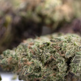 A dense green daily grape thrca hemp flower bud with frosty trichomes and orange pistils from legendary genetics