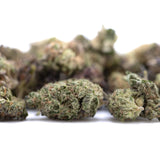 Greenhouse daily grape thca hemp flower smalls with dense frosty green and purple hues featuring legendary genetics granddaddy purple