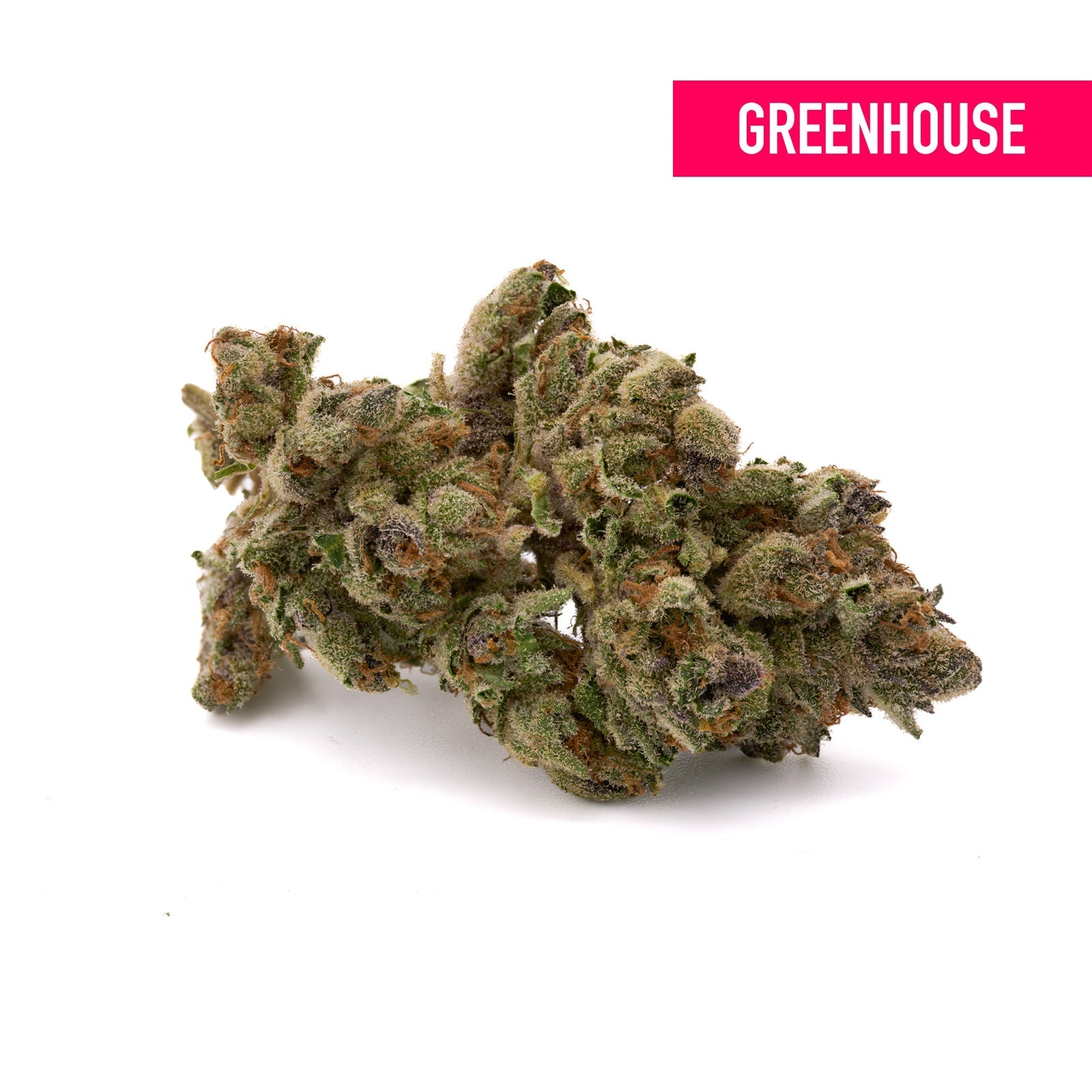 Dantes Inferno THCa Hemp Flower Greenhouse - Plants