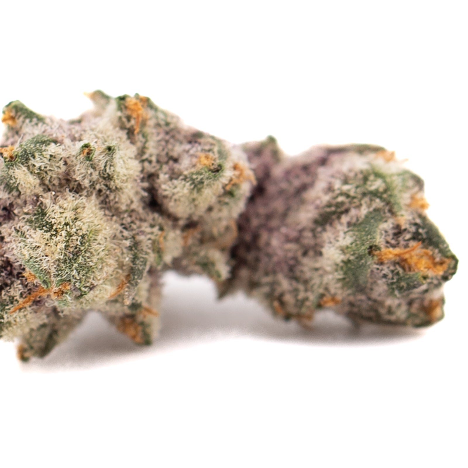 Dark Jokerz indoor THCa flower small with dense trichome-covered purple, green, and orange buds