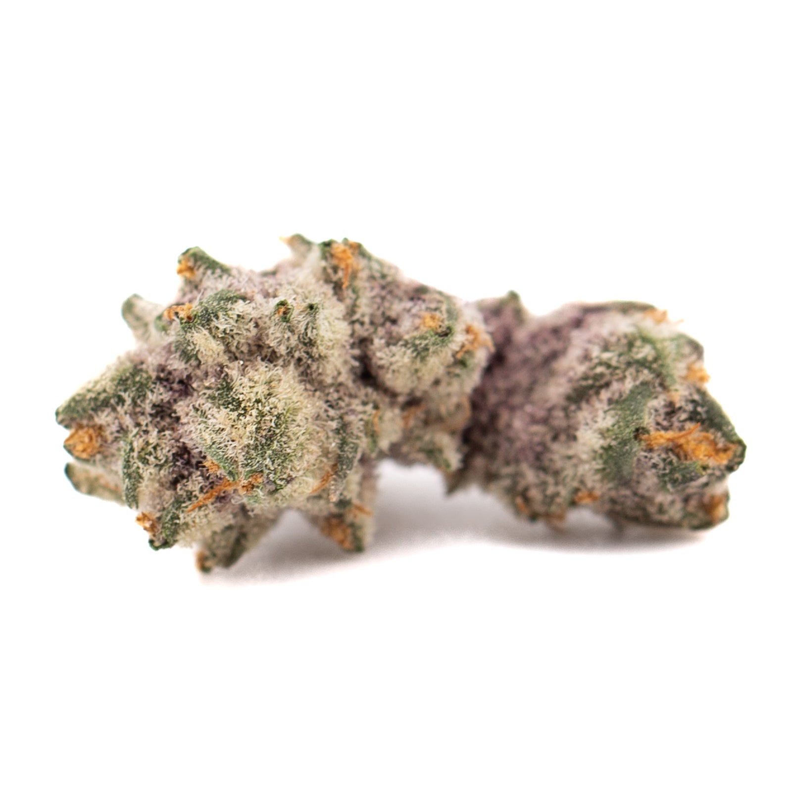 Dark Jokerz indoor THCA flower small with frosty spiky purple and orange cannabis buds