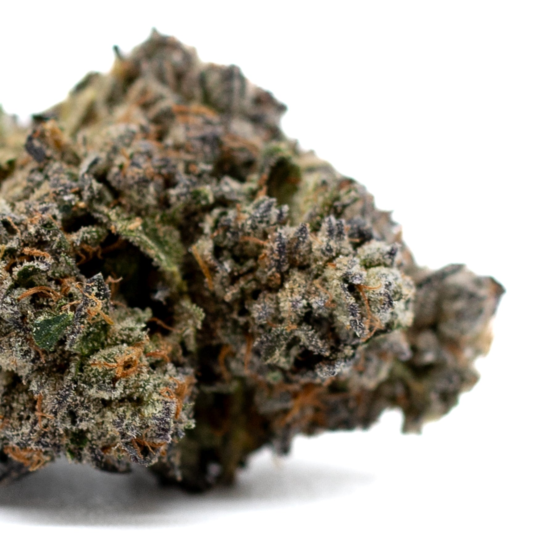 Dense frosty Jokerz Indoor THCa Flower with purple and orange hues, ideal for White Runtz fans