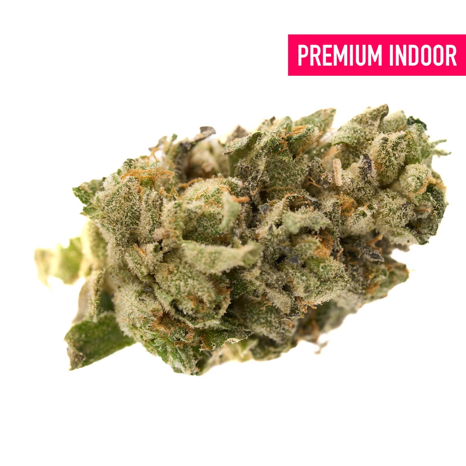 Dat Flavor Indoor THCa Flower - Plants