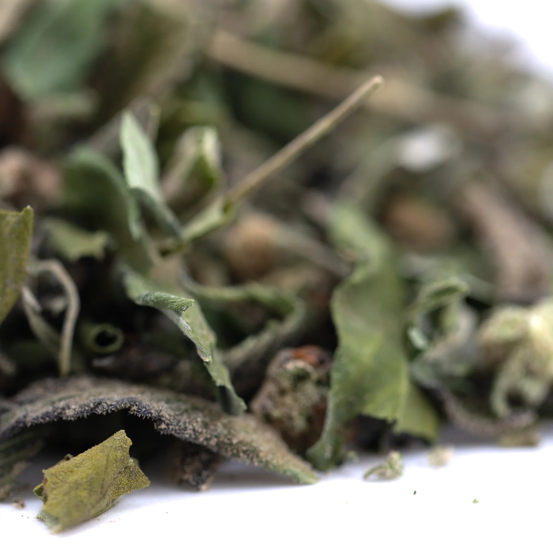 Dried sage leaves with green and brown hues and curled edges in dea-4 greenhouse thca trim hemp flower northern lights