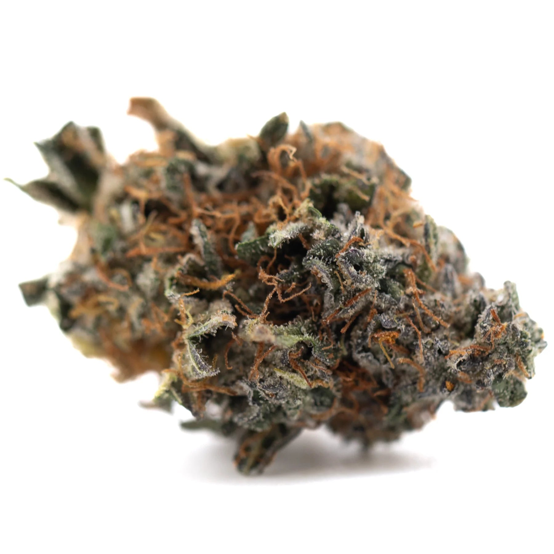 A dense resinous dea-4 indoor thca flower bud with green orange hues and white trichomes for black domina total cannabinoid