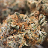 A dense resinous dea-4 indoor thca flower bud with green orange hues and white trichomes for maximum therapeutic depth