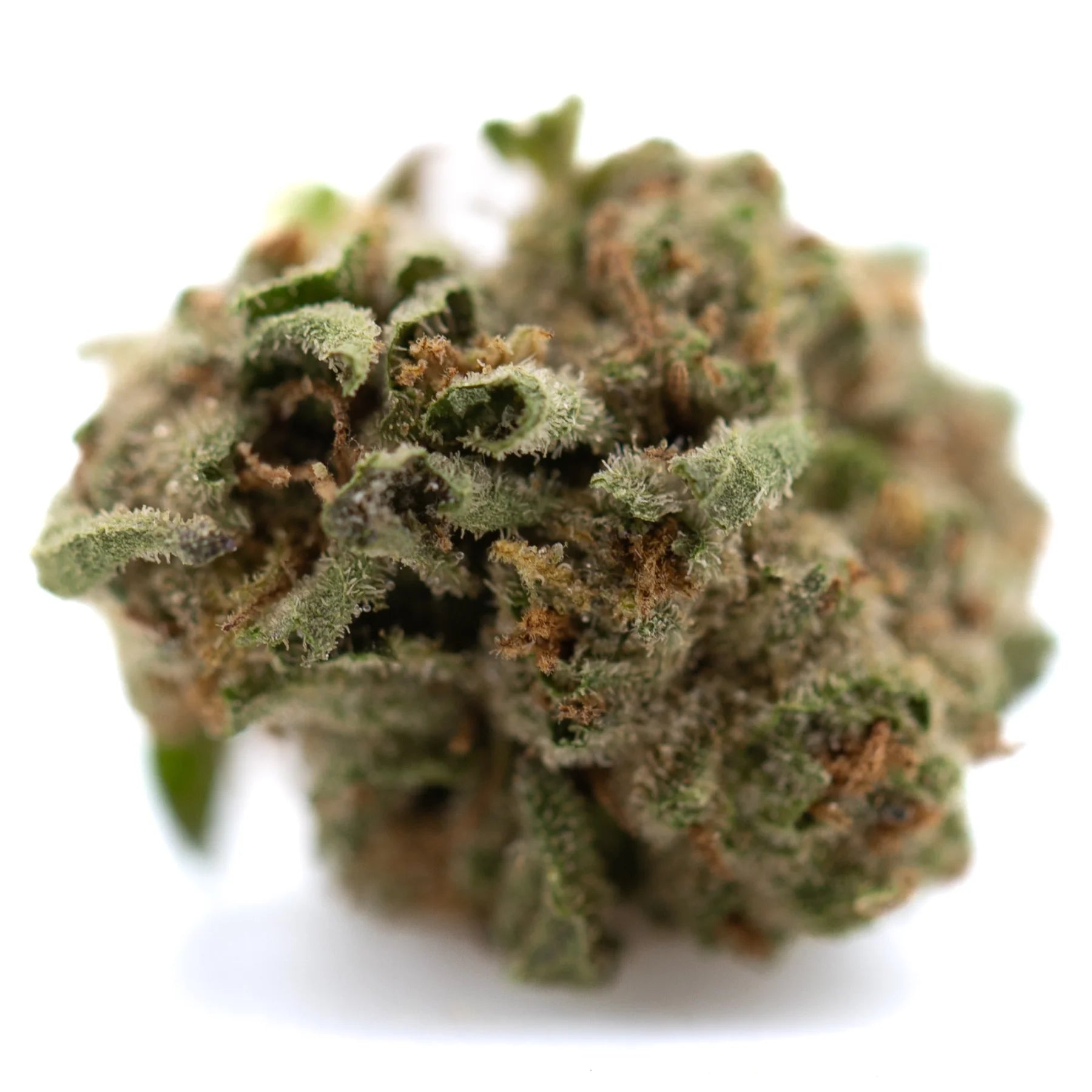 Dea-4 thca greenhouse smalls wholesale dense green hemp flower with frosty trichomes and brown pistils, northern lights inspired