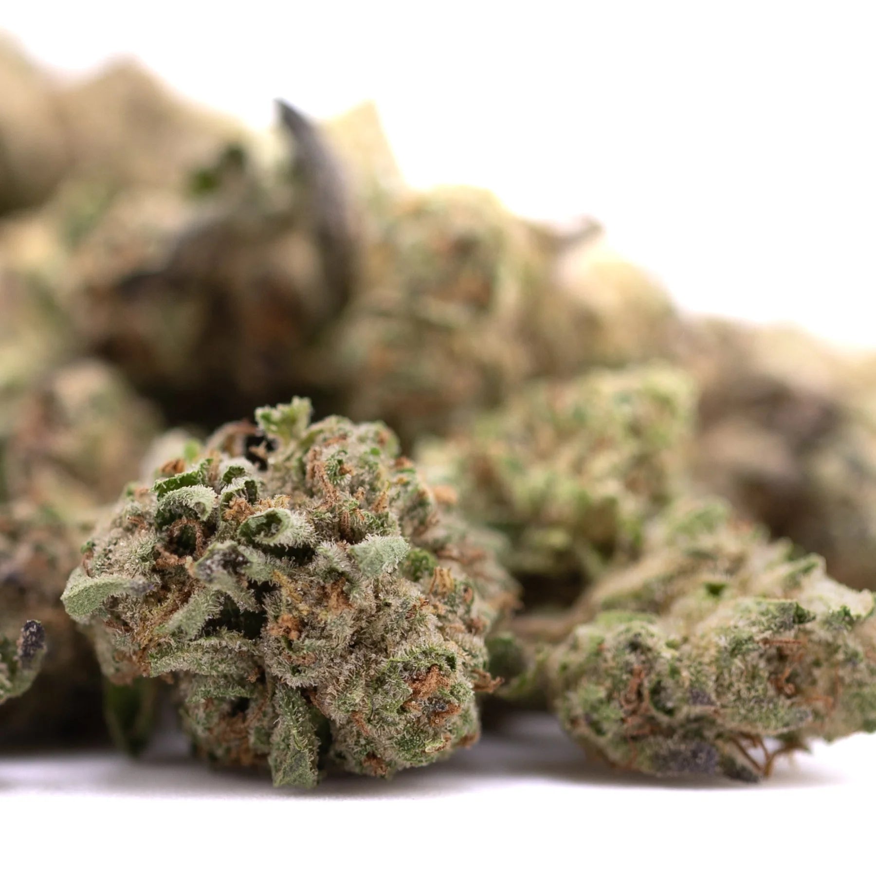 Dense green dea-4 thca greenhouse smalls cannabis bud with brown trichomes featuring northern lights hemp flower traits
