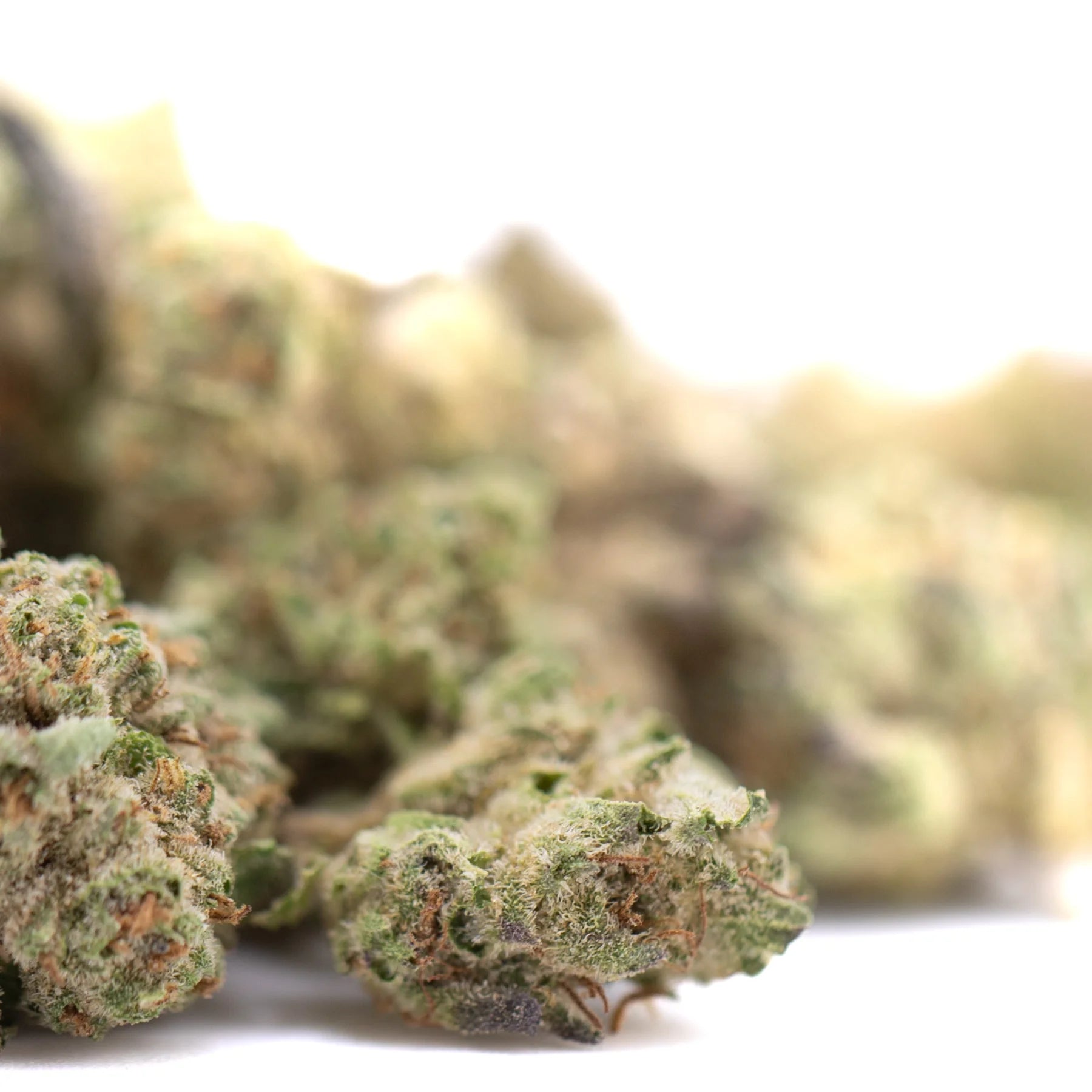 Dea-4 thca greenhouse smalls wholesale dense green and brown cannabis buds with frosty texture like northern lights hemp flower