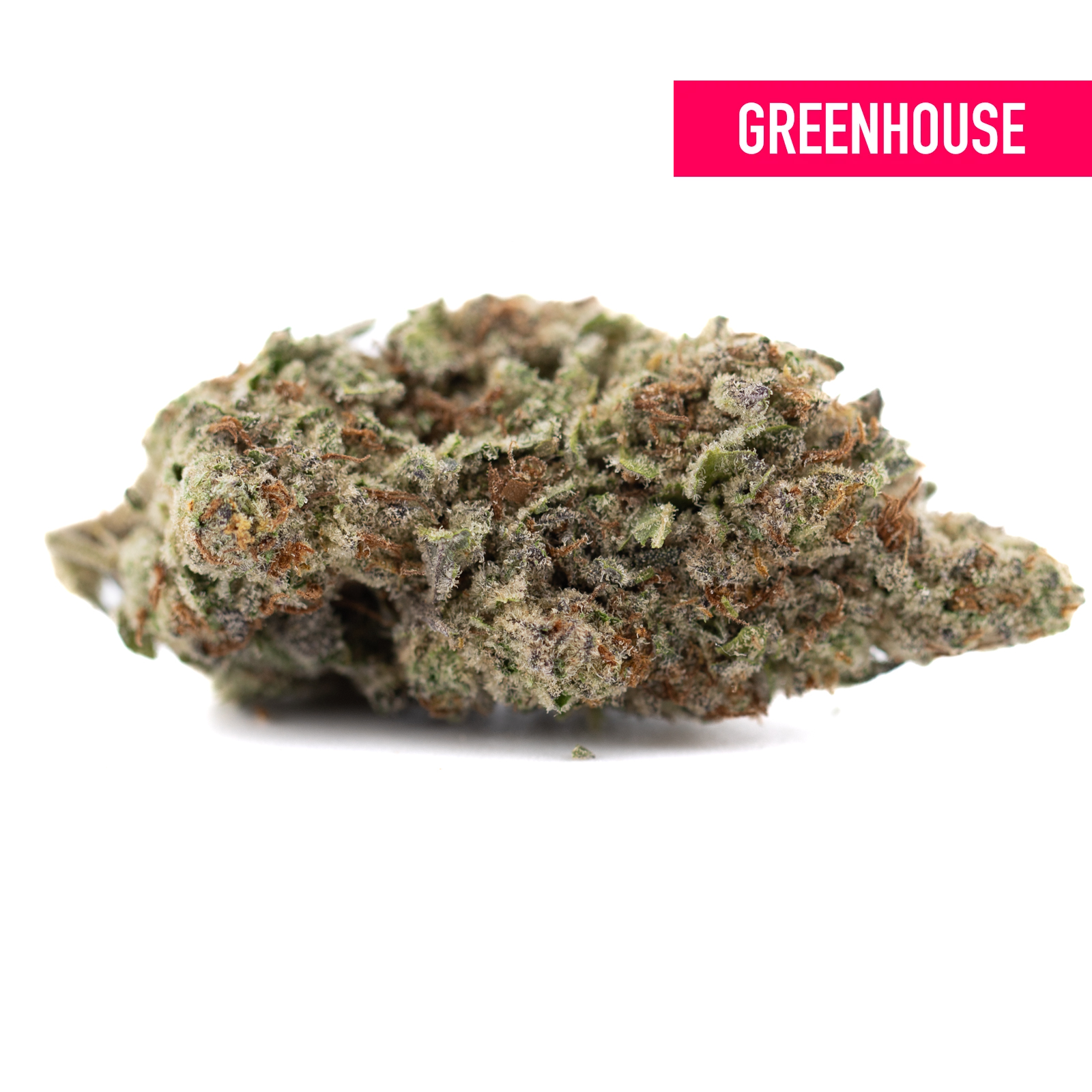 Greenhouse THCa hemp flower bud with white trichomes, purple hues, calming numbness
