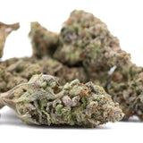 Greenhouse THCa hemp flower bud with white trichomes and purple hues