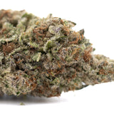 Premium DEA-4 THCa hemp flower bud with dense trichomes