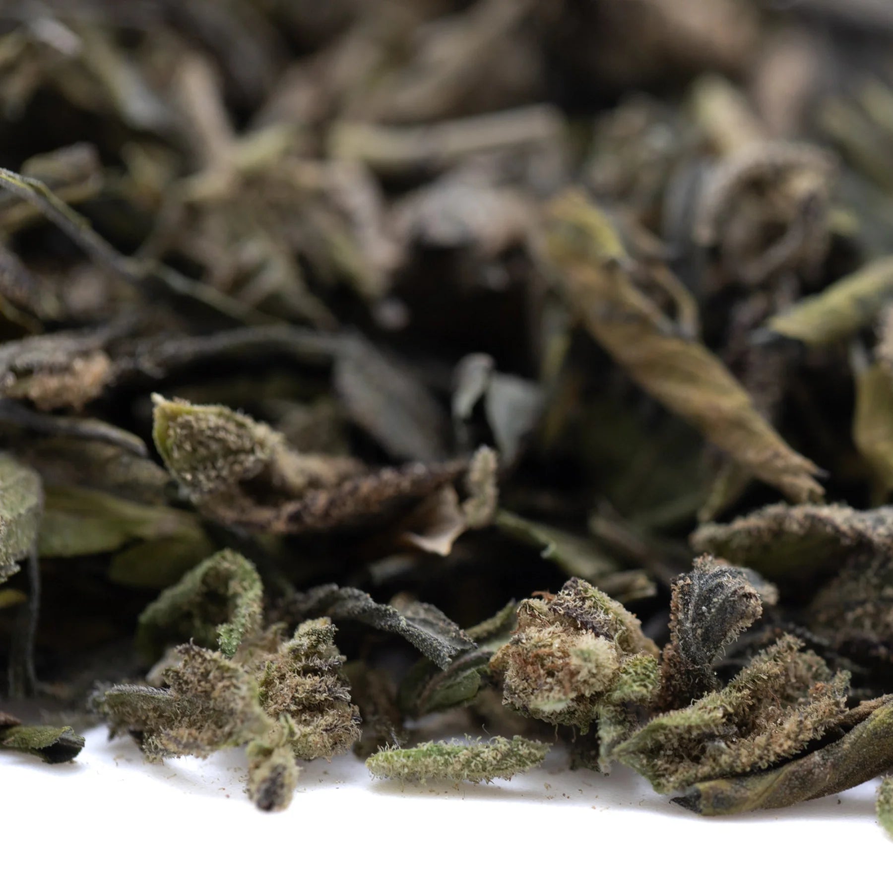 Dried green tea leaves with curled edges and fine hairs in deep space greenhouse THCa trim romulan x deep for sedative effects