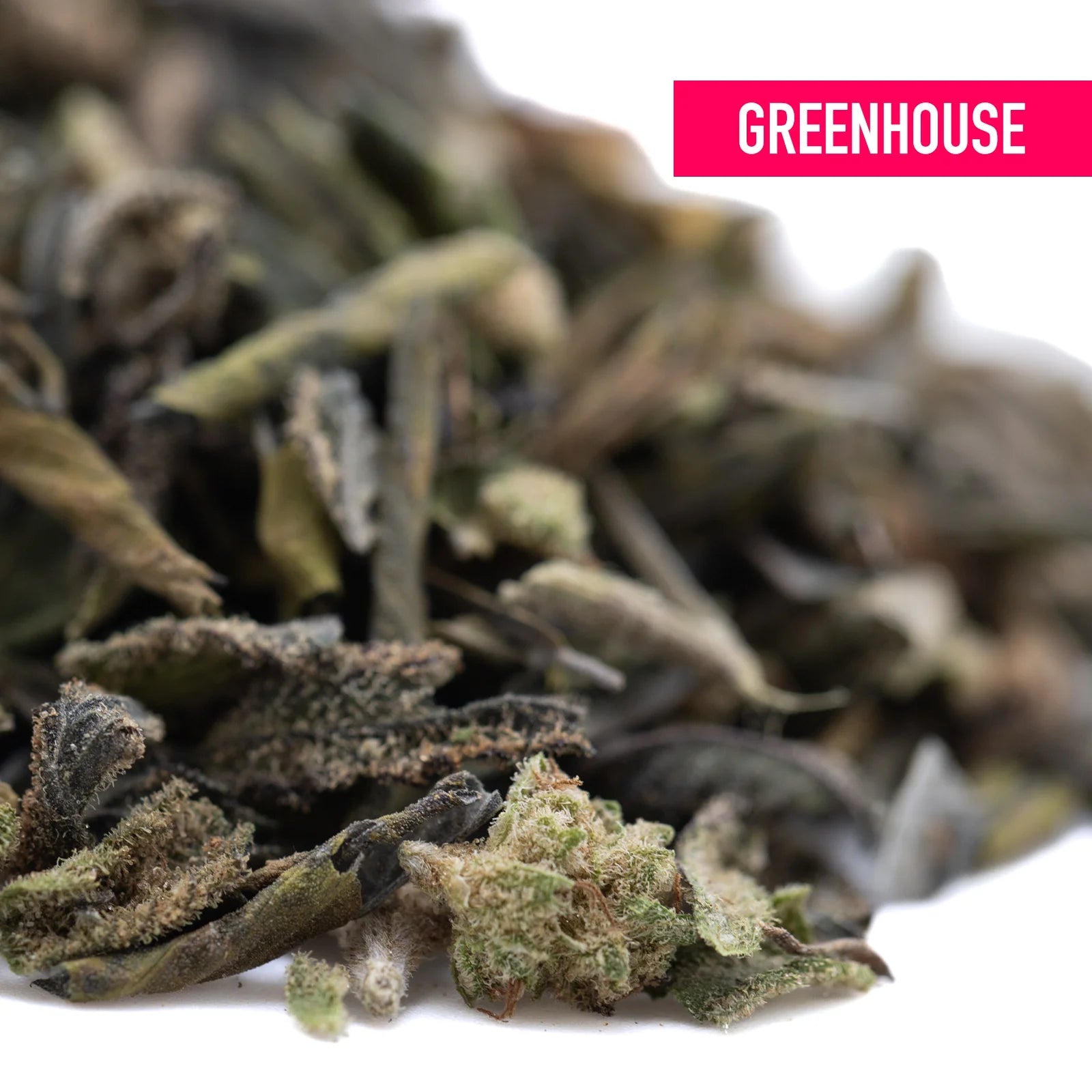A pile of dried curly green deep chunk tea leaves with fuzzy texture known for romulan x deep sedative effects