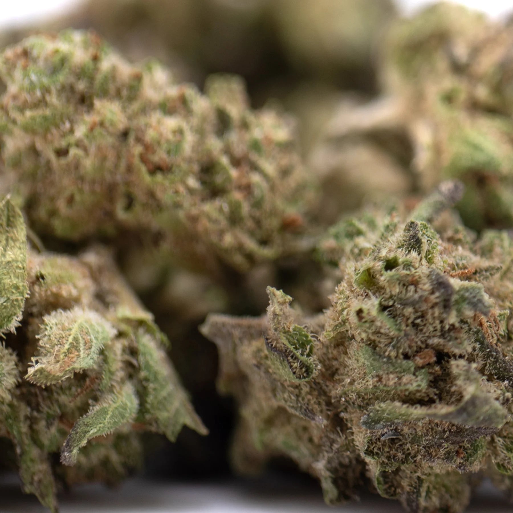 Green and brown deep space hemp flower buds with dense frosty texture featuring knockout genetics greenhouse smalls