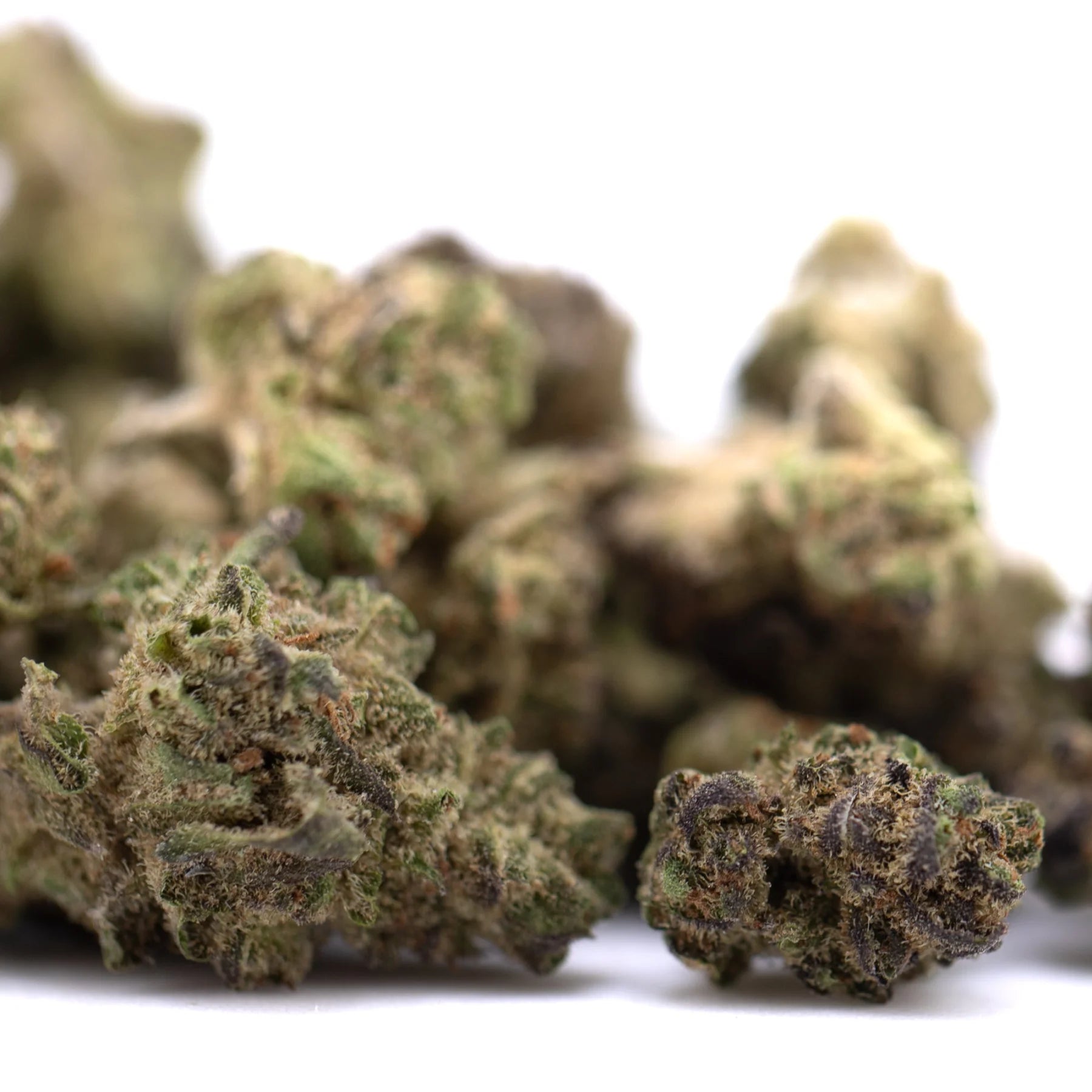 Green and purple deep space hemp flower buds with knockout genetics and a dense frosty texture wholesale greenhouse smalls
