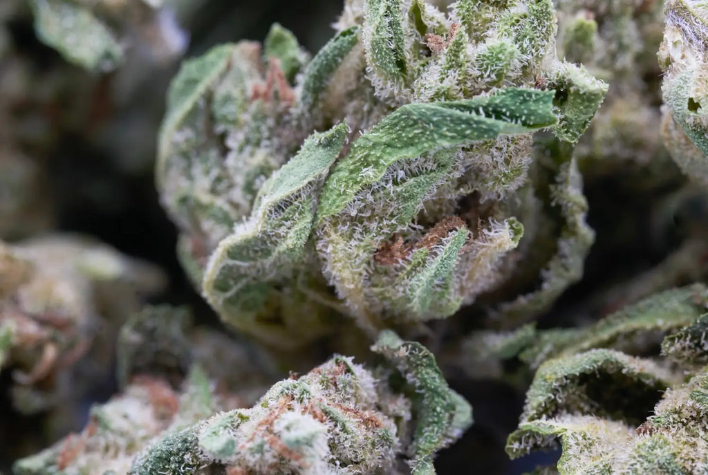 THCA Wholesale