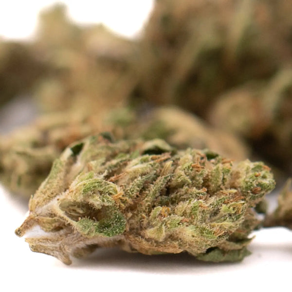 What is CBD Hemp Flower?