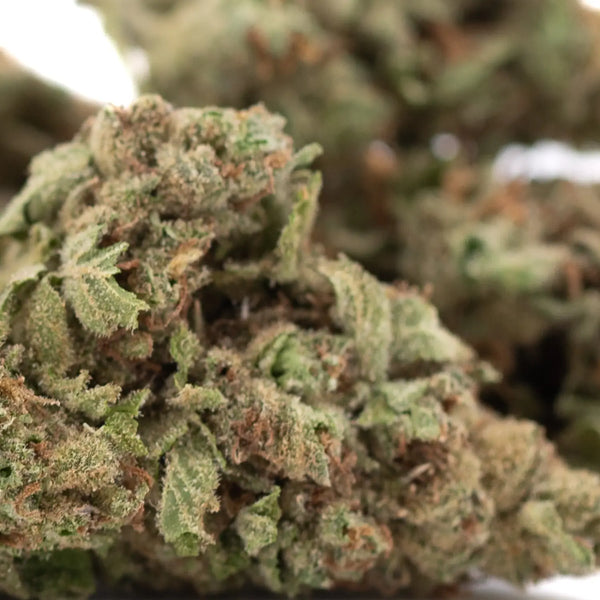 What is Full Term THCA Flower